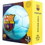 Icon Sports Team Soccer Ball