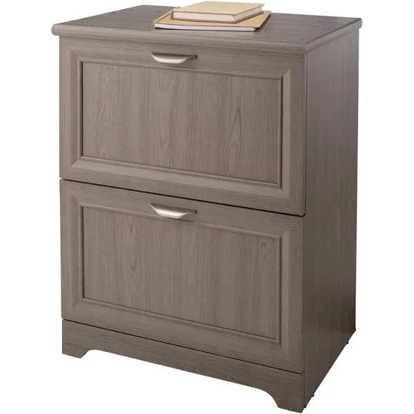 Realspace Magellan 24"W 2-Drawer Lateral File Cabinet, Gray