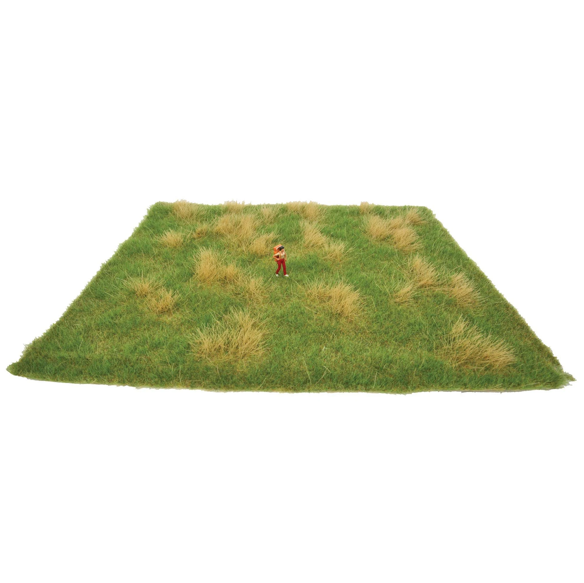 Grass Mat Summer Meadow Train