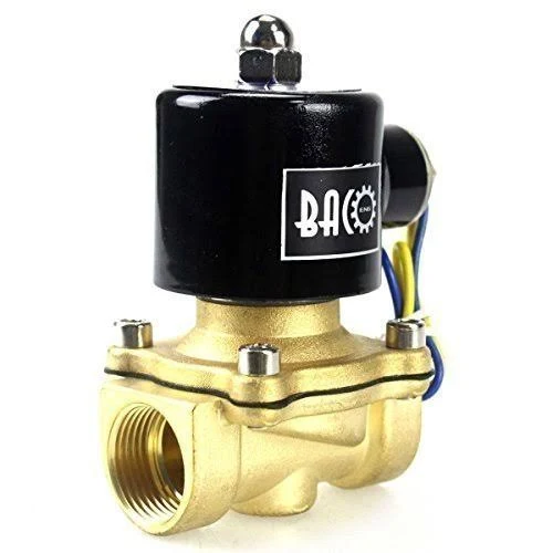 2&#034; Brass Electric Solenoid Valve - AC110V - NPT - Suitable for Hot/Cold Water