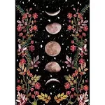 DIY Paint by Numbers Kitspaints by Number for Adults Moon Phase Paint Kitscanvas ...