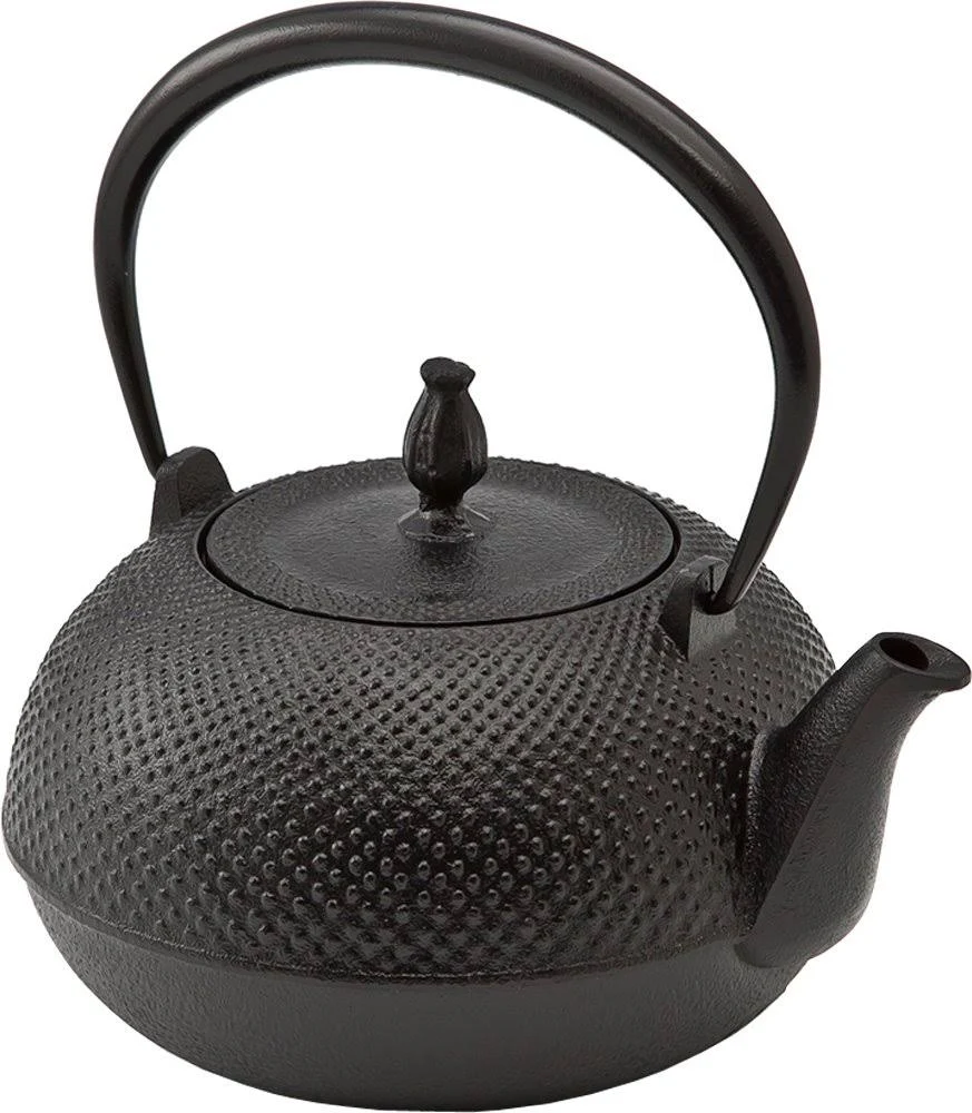 Ikenaga Nambu Cast Iron Tetsubin Kettle Nozomi