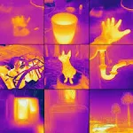 FLIR C5 Compact Thermal Camera