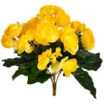 Vickerman 9.5" Artificial Yellow Polyester Begonia Bush