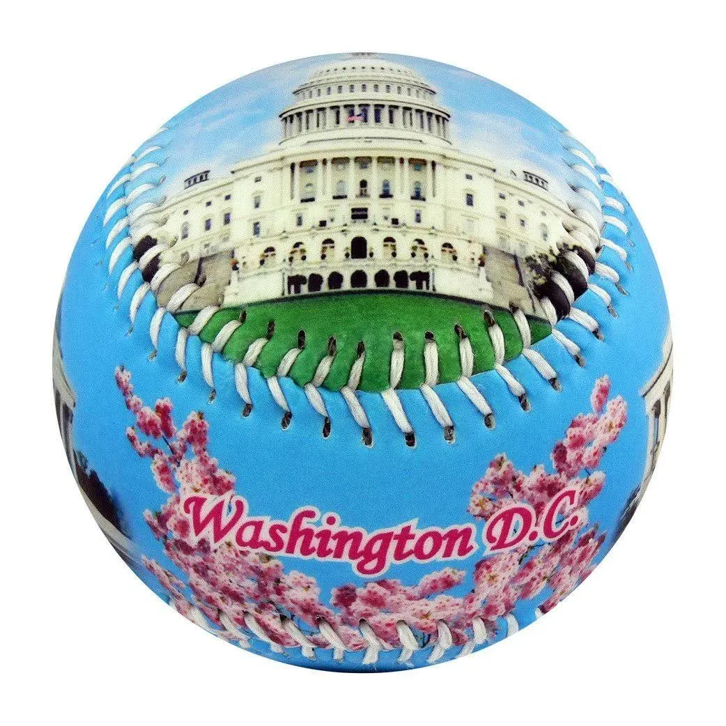 EnjoyLife Inc Washington D.C. USA Souvenir Baseball