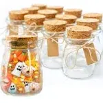 Otis Classic Glass Favor Jars with Cork Lids - Mason Jar Wedding Favors Apothecary Jars Honey