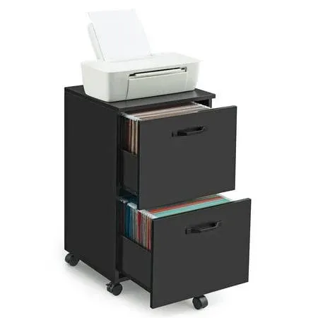 VASAGLE 2-Drawer File Cabinet