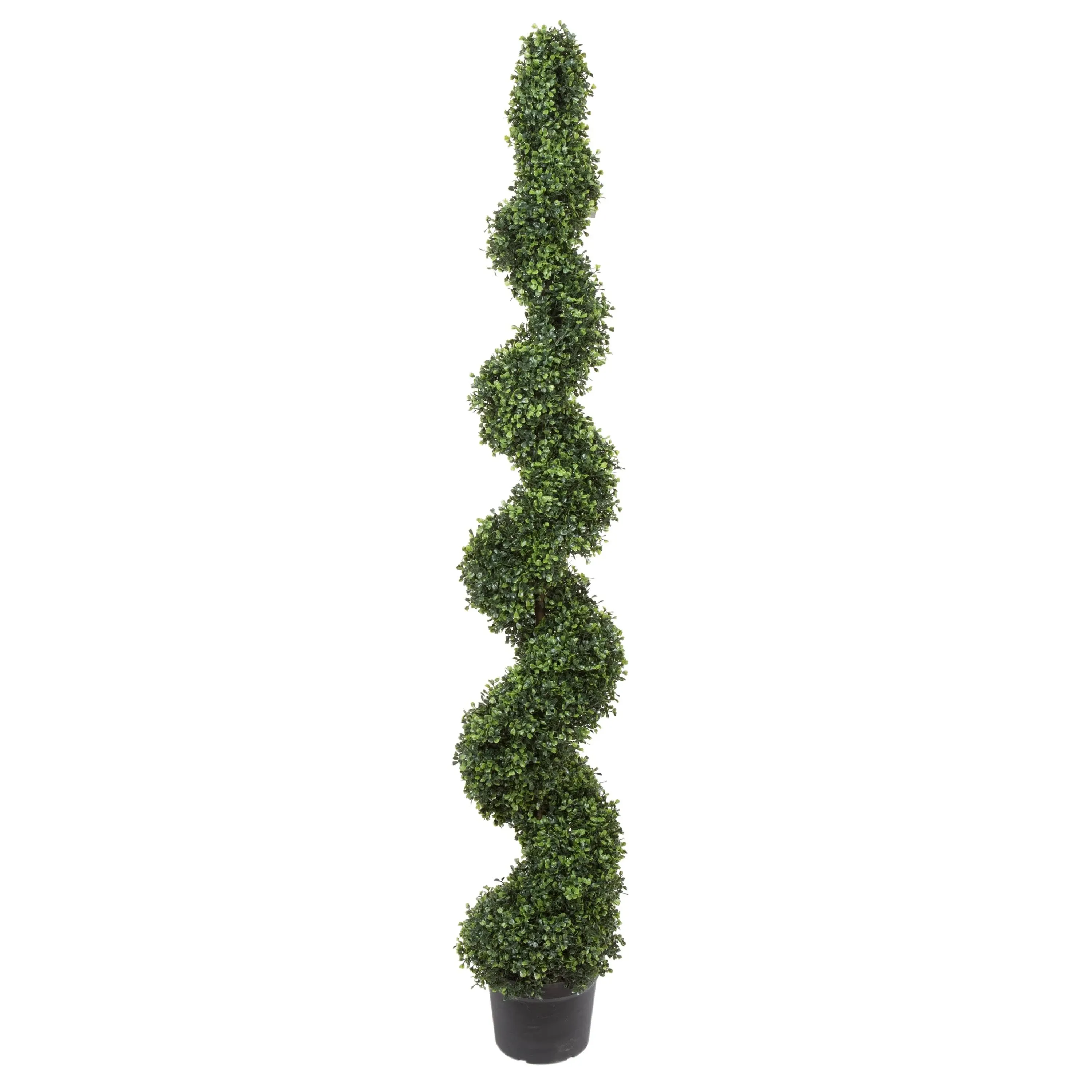 Vickerman 6' Artificial Potted Green Boxwood Spiral Tree UV