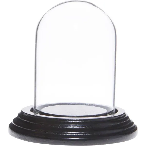 Plymor 2" x 3" Mini Glass Display Dome Cloche (Black Wood Veneer Base)