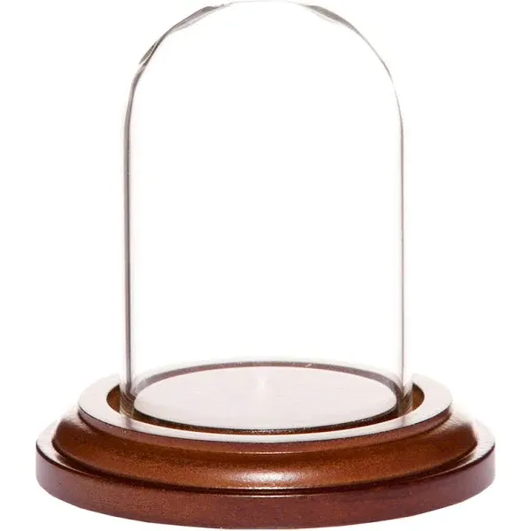 Plymor 1.85" x 2.875" Mini Glass Display Dome Cloche (Walnut MDF Base)