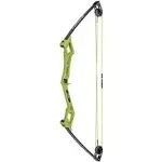 Bear Archery Apprentice Youth Bow