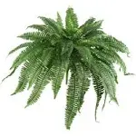 48 in. Artificial Boston Fern (Set of 2)