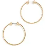 new icon hoops in gold small