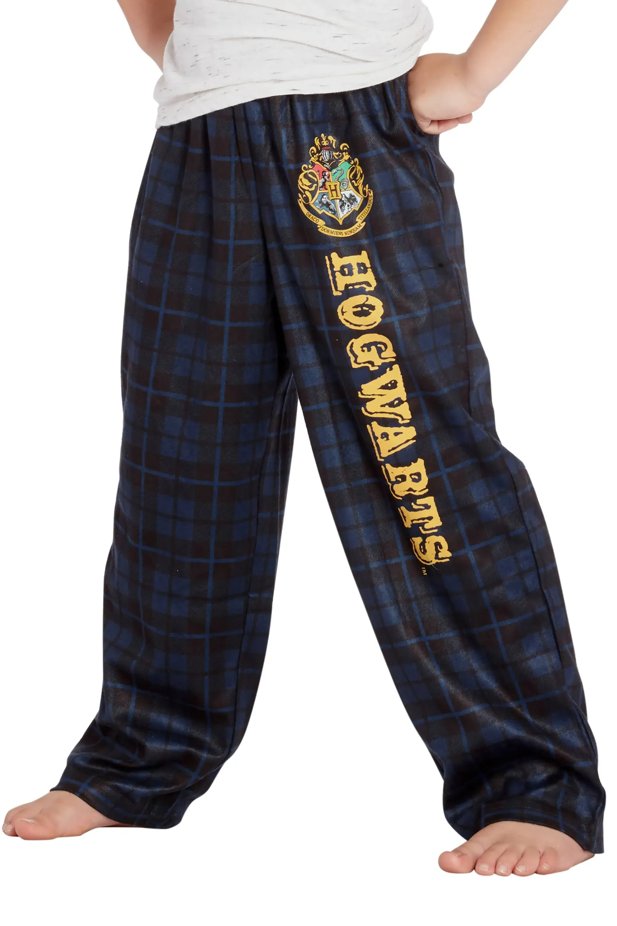 Intimo Harry Potter Big Boys Houses Plaid Pajama Lounge Pants