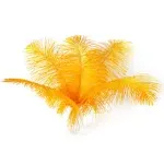 24pcs Natural Luxury Gold Ostrich Feathers 10-12inch 25-30cm for Wedding Part...