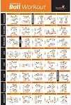 NewMe Fitness Workout Posters for Home Gym - Stability Exercise Posters for Full ...