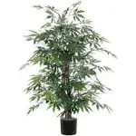 4' Japanese Maple Bush - Vickerman