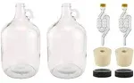 North Mountain Supply - 1G-38-ST-TB-2 1 Gallon Glass Fermenting Jug with Handle ...