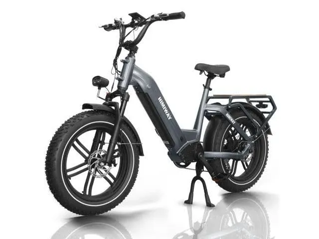 Himiway Big Dog 20x4 Fat Tire Electric Bike 750W Cargo Ebike, 400lbs Payload ...