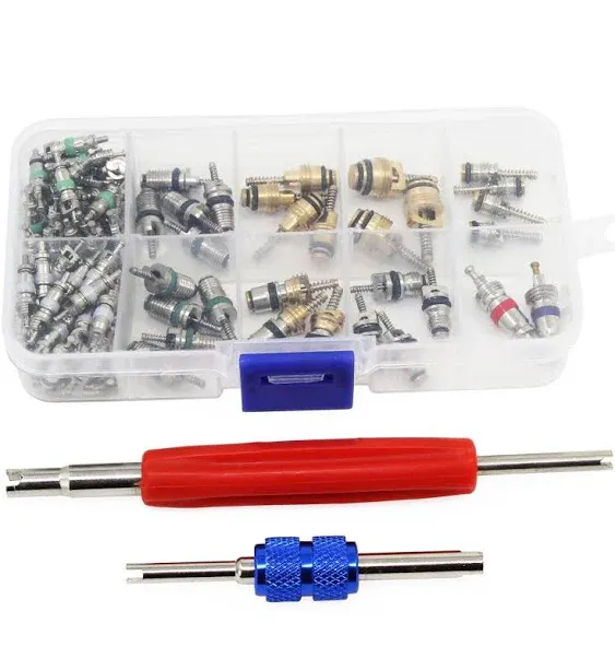 OCR 102PCS Car Air Conditioner Valve Core R12 R134a Automotive Air Conditioning Refrigeration Tire Valve Stem with Double Head Dual Dismantling Remover Tool Assortment Kit (102PCS)