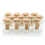 Otis Classic Glass Favor Jars with Cork Lids - Mason Jar Wedding Favors Apothecary Jars Honey