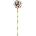 Restaurantware 5.9 inch Durable Cake Pop Sticks 100 Lollipop Sticks - Multipurpose Orange Spirals Paper Colored Cake Pop Sticks Food Grade for