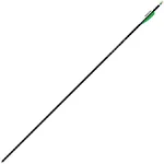 Easton Genesis Arrows Teal 1820 6 pk.