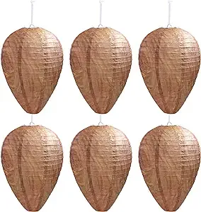 DECYOOL 6 Pack Wasp Nest Decoy Hanging Wasp for Wasps Hornets Yellow Jackets Outdoor Waterproof Material