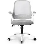 Neo Chair Adjustable Office Chair with Flip-Up Padded Armrest Ergonomic Back Support, Gray