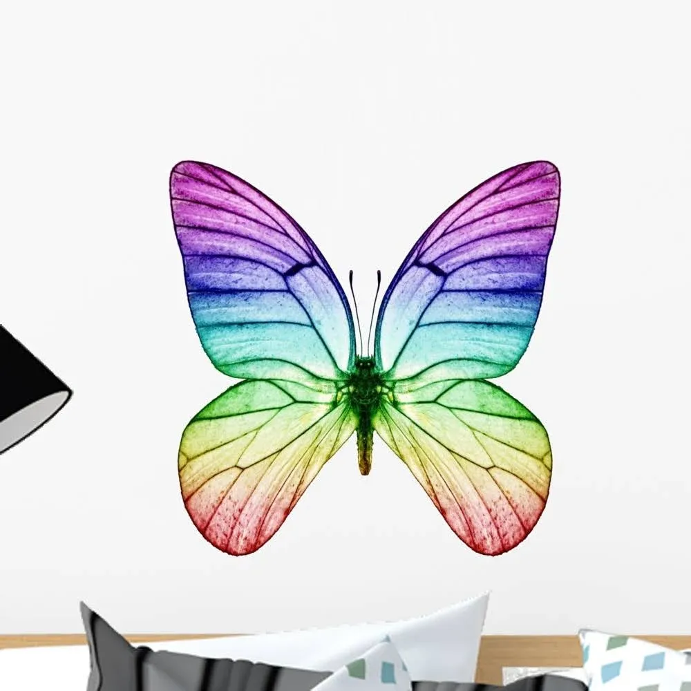 Butterfly Rainbow Colors Wall Decal by Wallmonkeys Peel and Stick Graphic (18 in ...