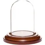 Plymor 1.85" x 2.875" Mini Glass Display Dome Cloche (Walnut MDF Base)