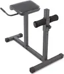 Marcy Roman Chair/Hyperextension Bench