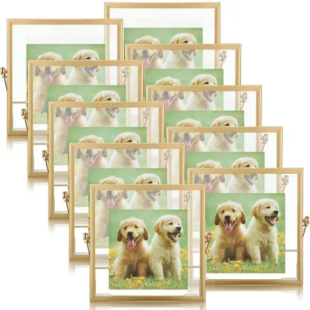 Hoteam 12 Pack Floating Frame Glass Photo Frame Collection Vintage Metal Minimal Ornate Easel Stand Photo Frames Vertical Glass Frame for Pictures Photos Desk Tabletop Display 4 x 4 Inch (Gold)