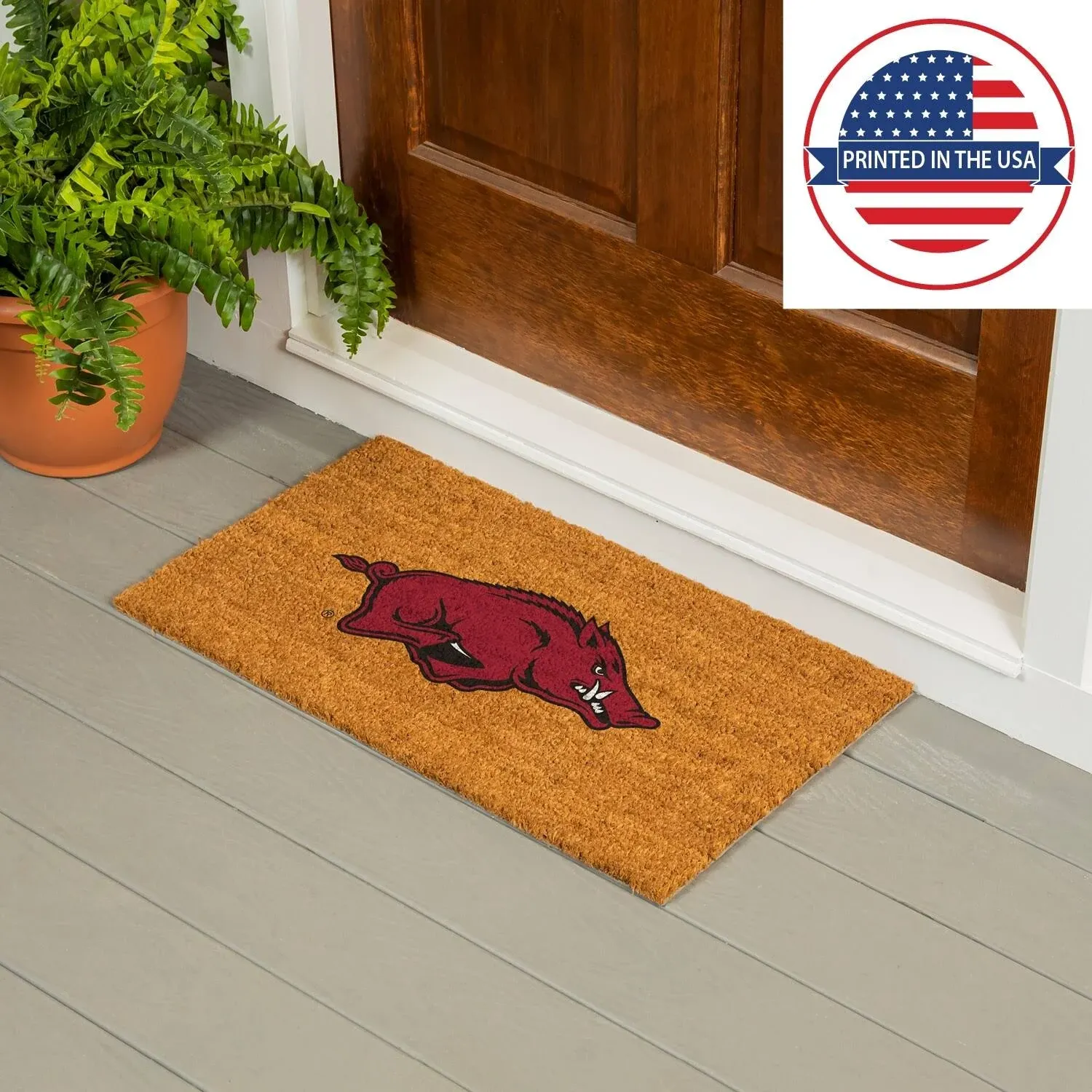 Arkansas Razorbacks 28" x 16" Logo Turf Mat