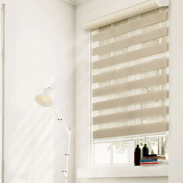 Chicology Dual Layer & Privacy Free-Stop Cordless Zebra Roller Shades