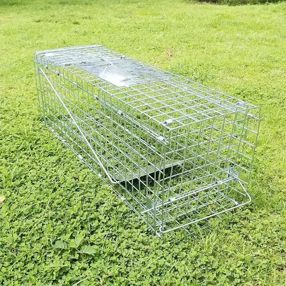 Collapsible Humane Live Animal Cage Trap No-Kill Trapping Kit for Humane Catc...