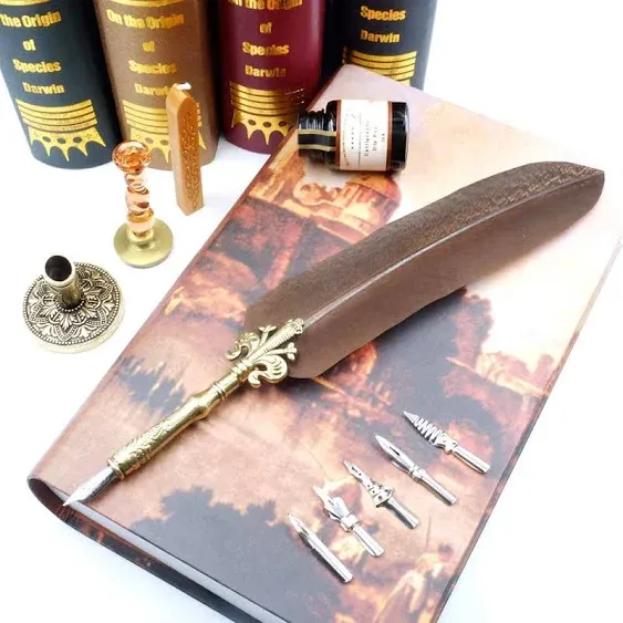 Quill Pen Set Unique Half-Patterned Feather Pen Gift Set with 6 Nibs 1 Calligrap