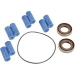 Hypro 3430-0381 Roller Pump Repair Kit