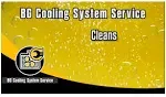 BG UNIVERSAL COOLING SYSTEM CLEANER PN 540 