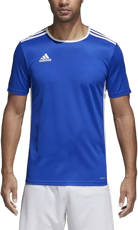 Adidas Unisex-Child Entrada 18 Jersey