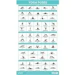 Vive Yoga Poster - Poses for Beginners and Experts - Mat Exercise Home Blue 