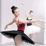 WENDYWU Women Professional Swan Ballet Tutu Skirt Hard Organdy Platter Perfor...