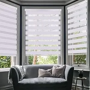 LUCKUP Horizontal Window Shade Blind Zebra Dual Roller Blinds Day and Night Blinds Curtains，Easy to Install 23.6" x 59", White