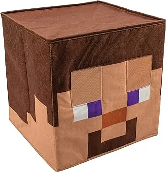 Tête de Steve, Minecraft