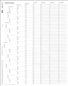 15 or 16-Generation Genealogy Pedigree Chart