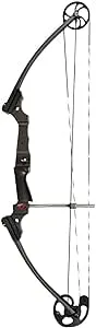 Genesis Archery Compound Bow and Arrow Set, Original, Right Handed, Carbon