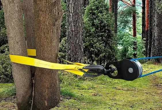 TGL 3 inch, 8 Foot Tree Saver, Tow Strap with D Ring Shackle and 10 Ton Snatch Block