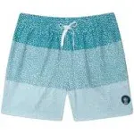 Chubbies Men's 5.5" Stretch Swim Trunks