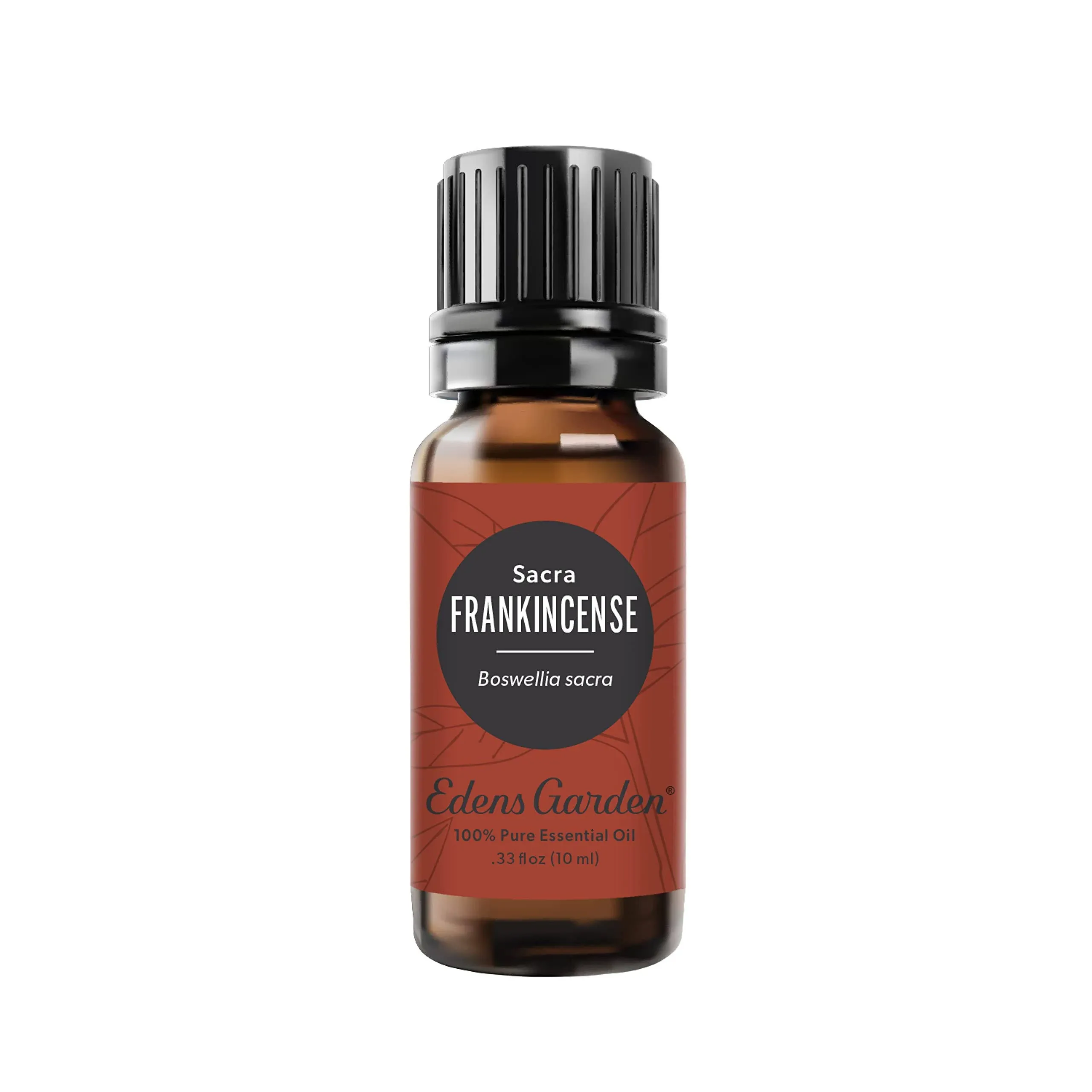 Edens Garden Frankincense Sacra 100% Pure Therapeutic Grade Essential Oil, 10 ml