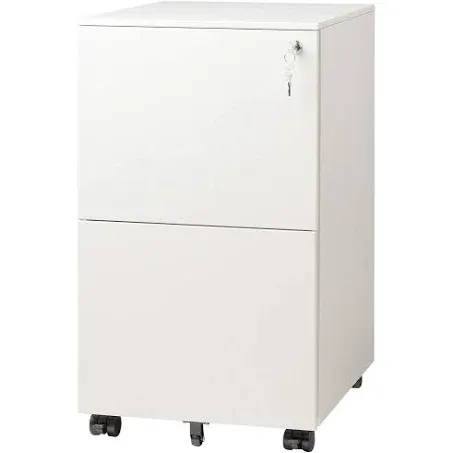 DEVAISE 2-Drawer Mobile File Cabinet with Lock, Commercial Vertical Cabinet in White